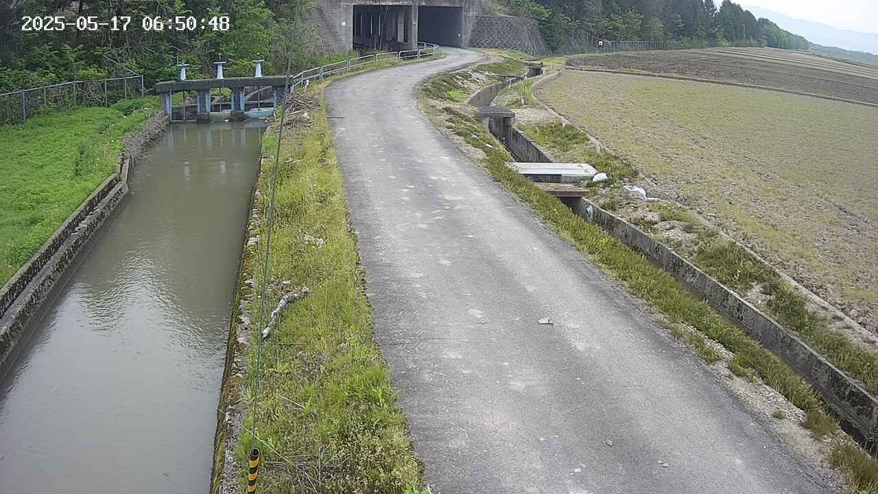 area11-20250517065050.jpg