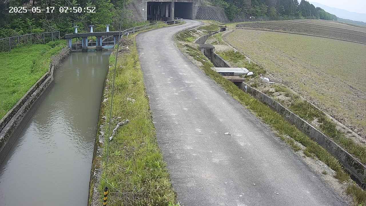 area11-20250517075053.jpg