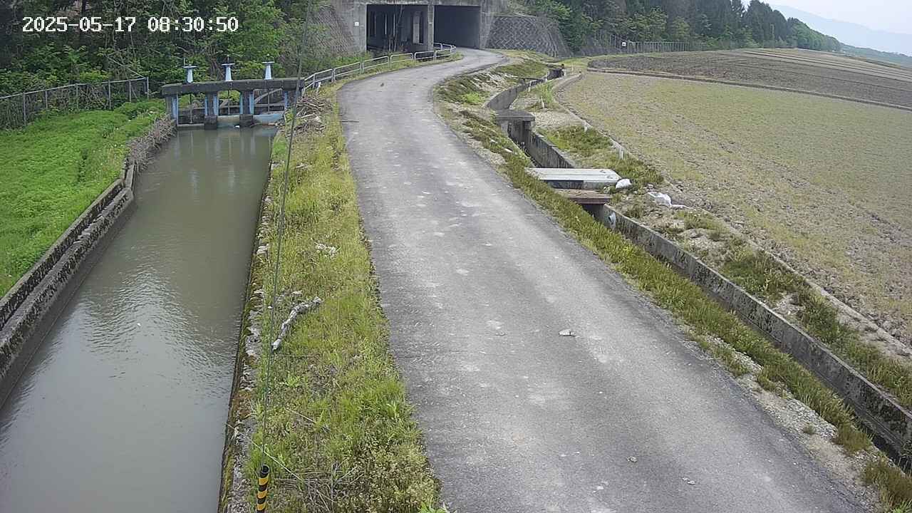 area11-20250517083050.jpg