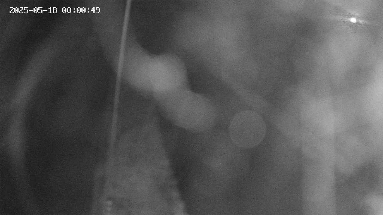 area11-20250518000050.jpg