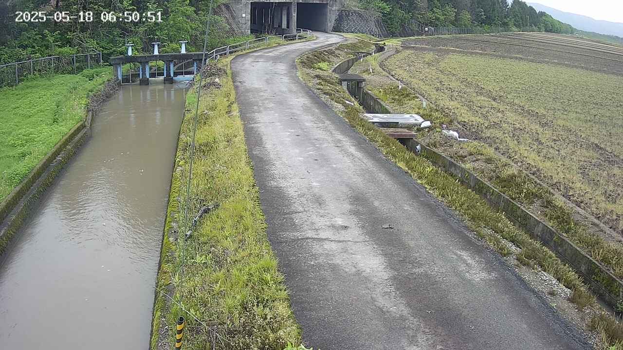 area11-20250518065054.jpg
