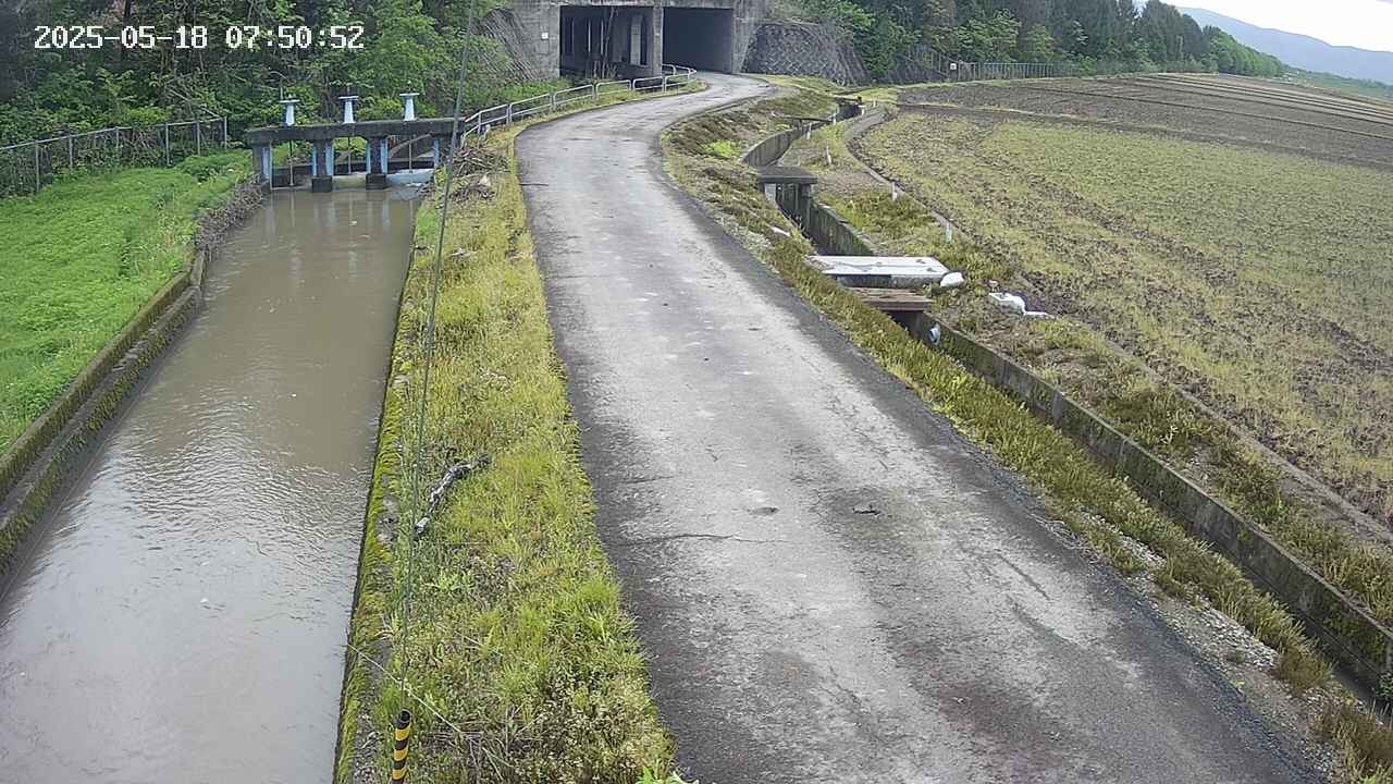 area11-20250518075053.jpg