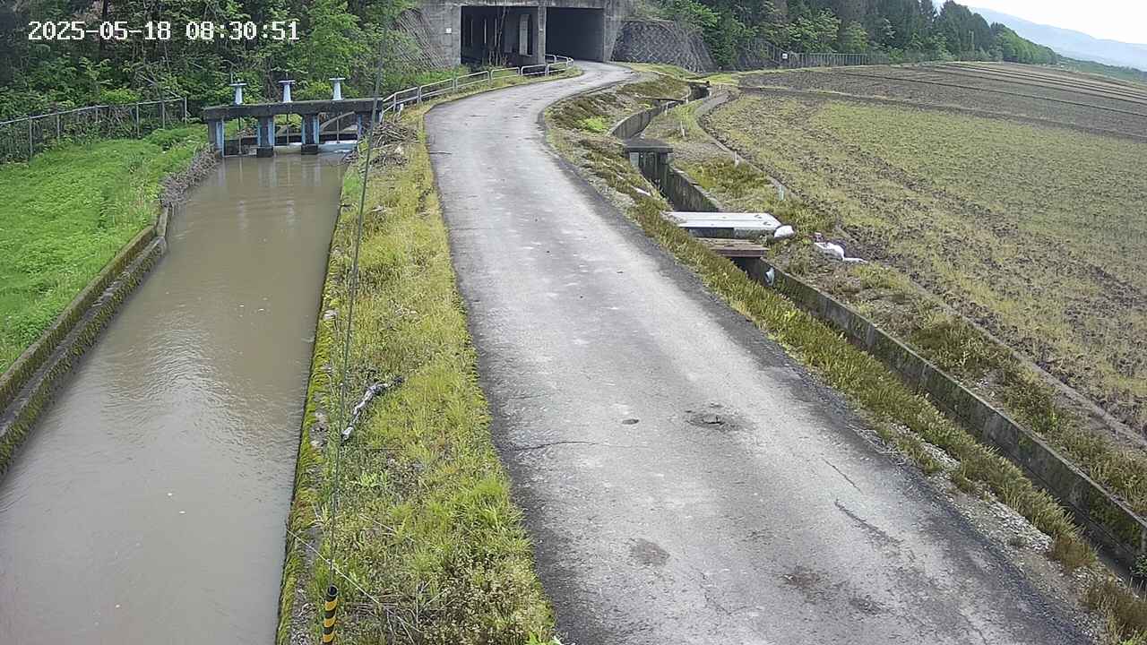 area11-20250518083051.jpg