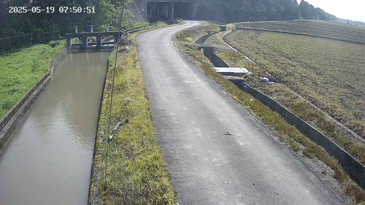 area11-20250519075052.jpg