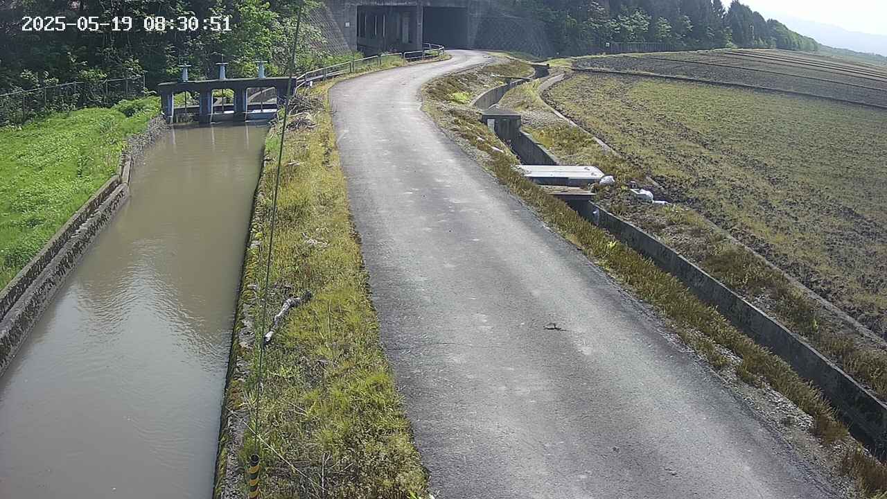 area11-20250519083052.jpg