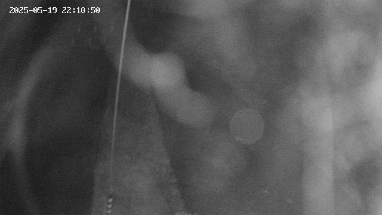 area11-20250519221051.jpg