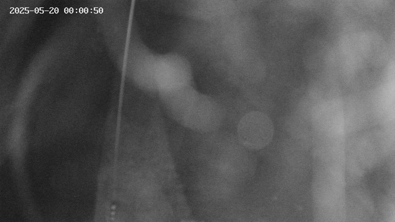 area11-20250520000051.jpg