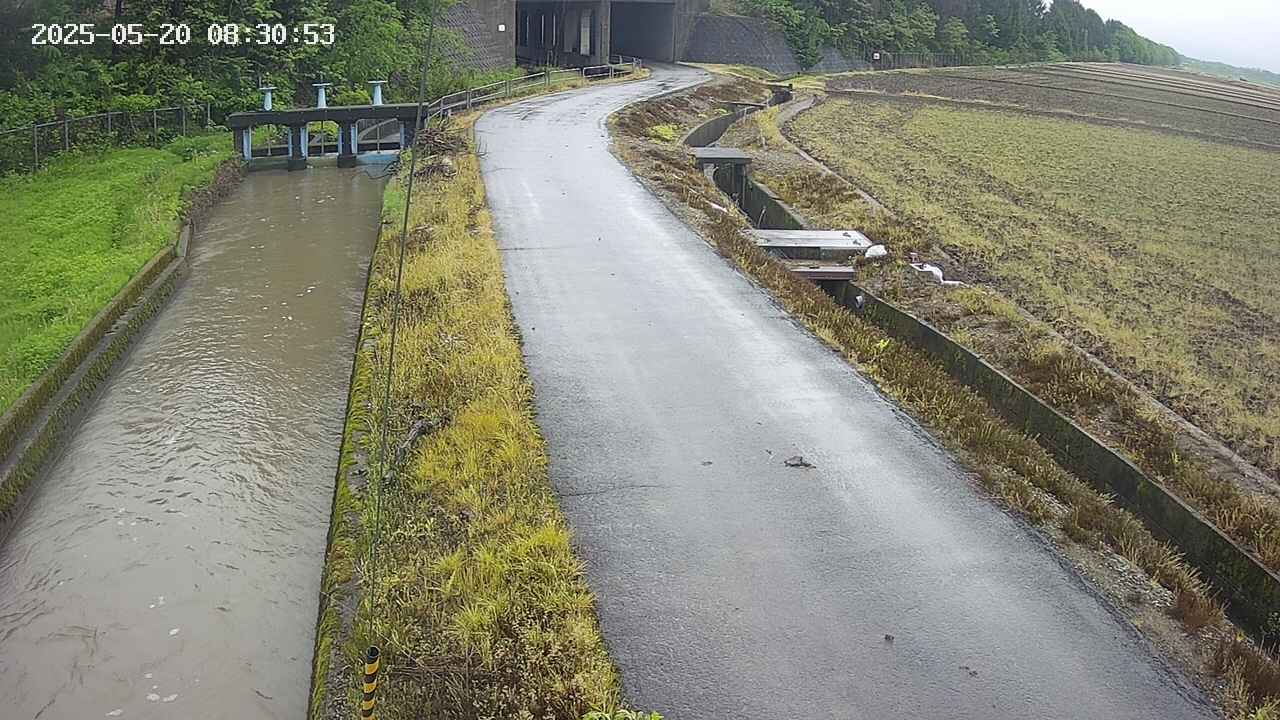 area11-20250520083054.jpg