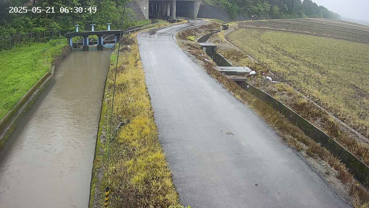 area11-20250521063051.jpg