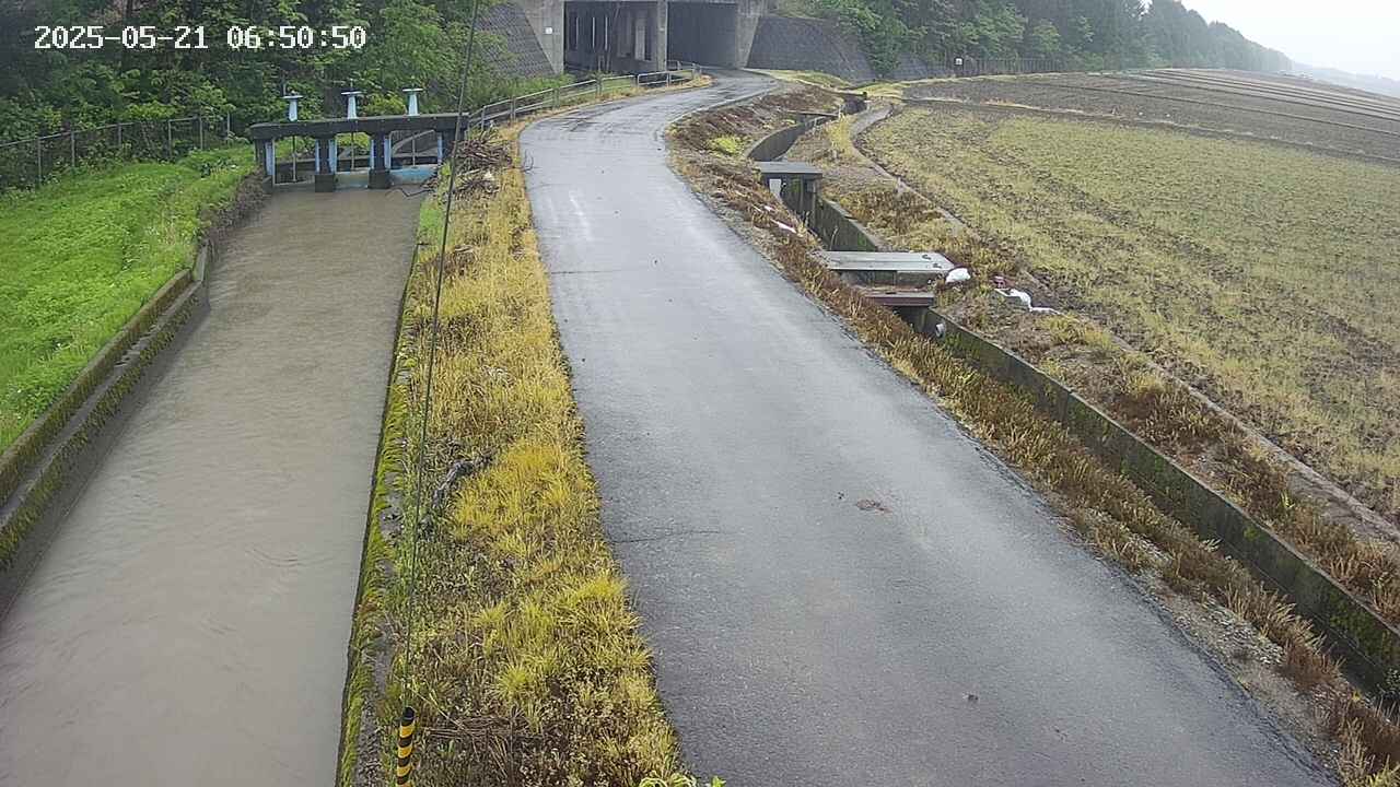 area11-20250521065051.jpg