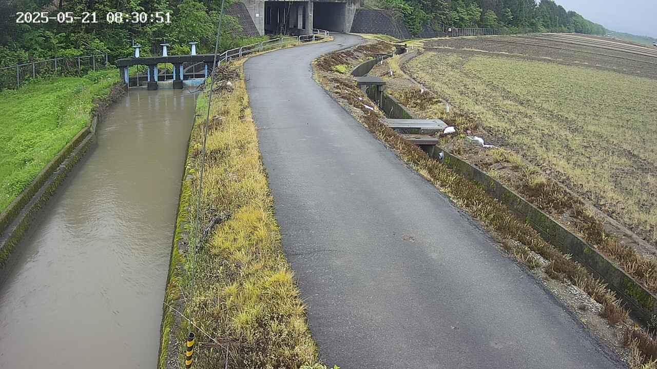 area11-20250521083052.jpg