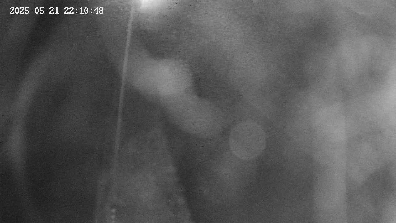 area11-20250521221050.jpg