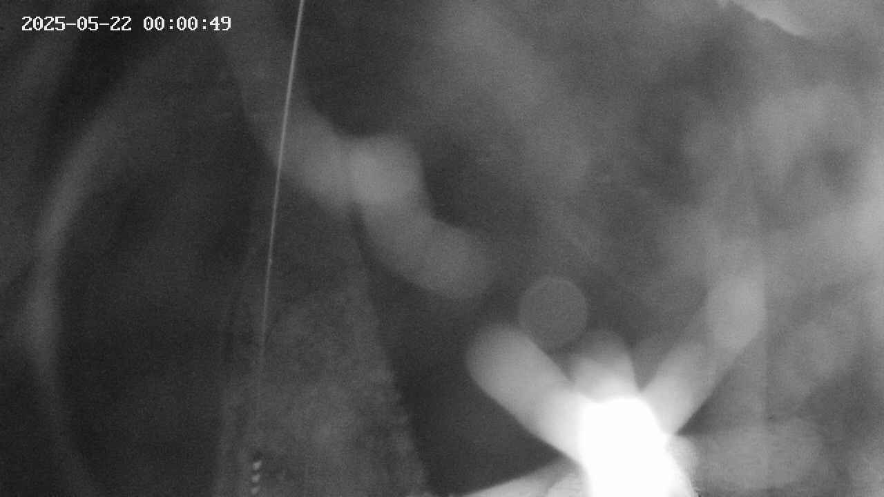 area11-20250522000051.jpg