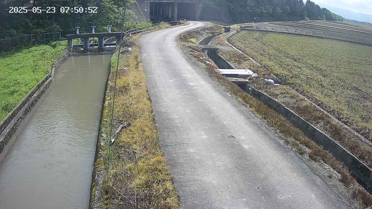 area11-20250523075053.jpg