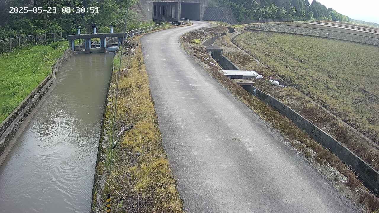 area11-20250523083052.jpg
