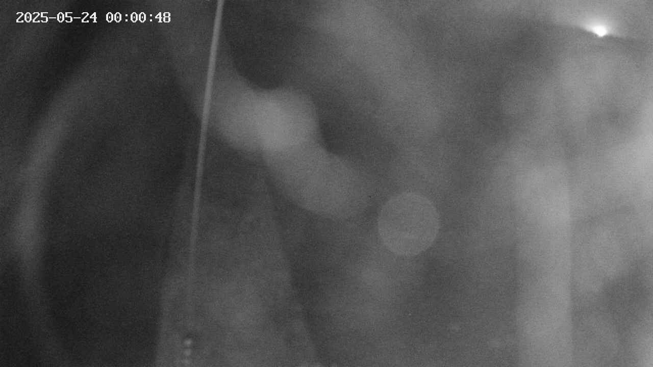 area11-20250524000049.jpg
