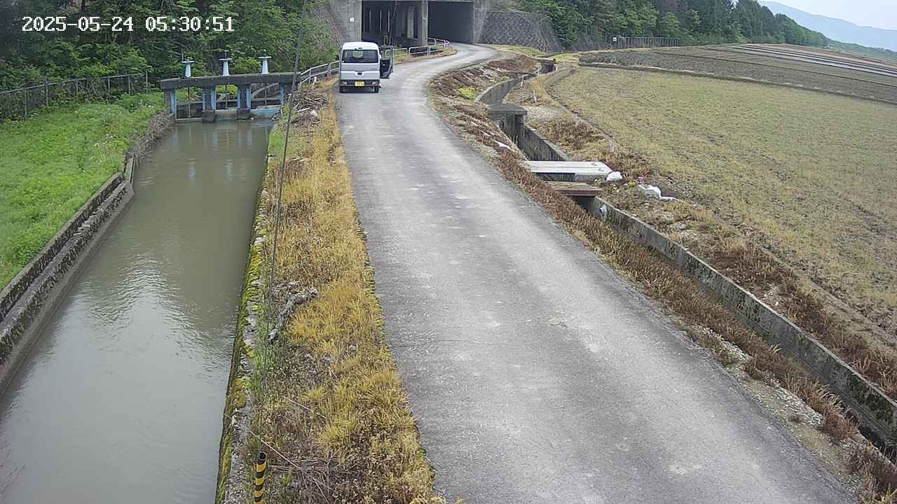 area11-20250524053052.jpg