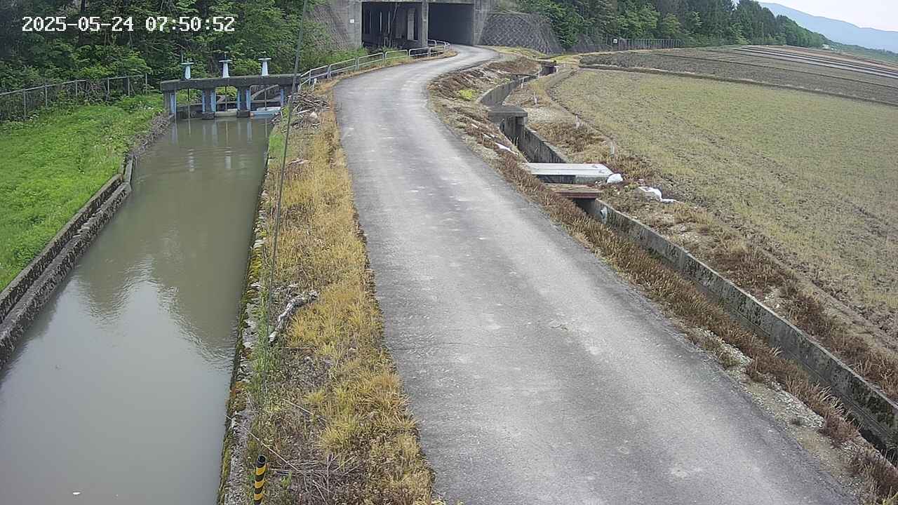 area11-20250524075053.jpg