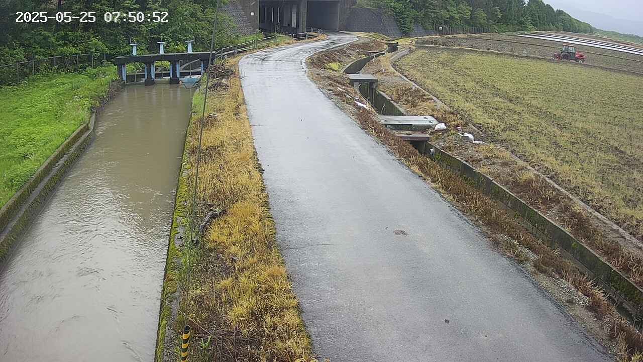 area11-20250525075053.jpg