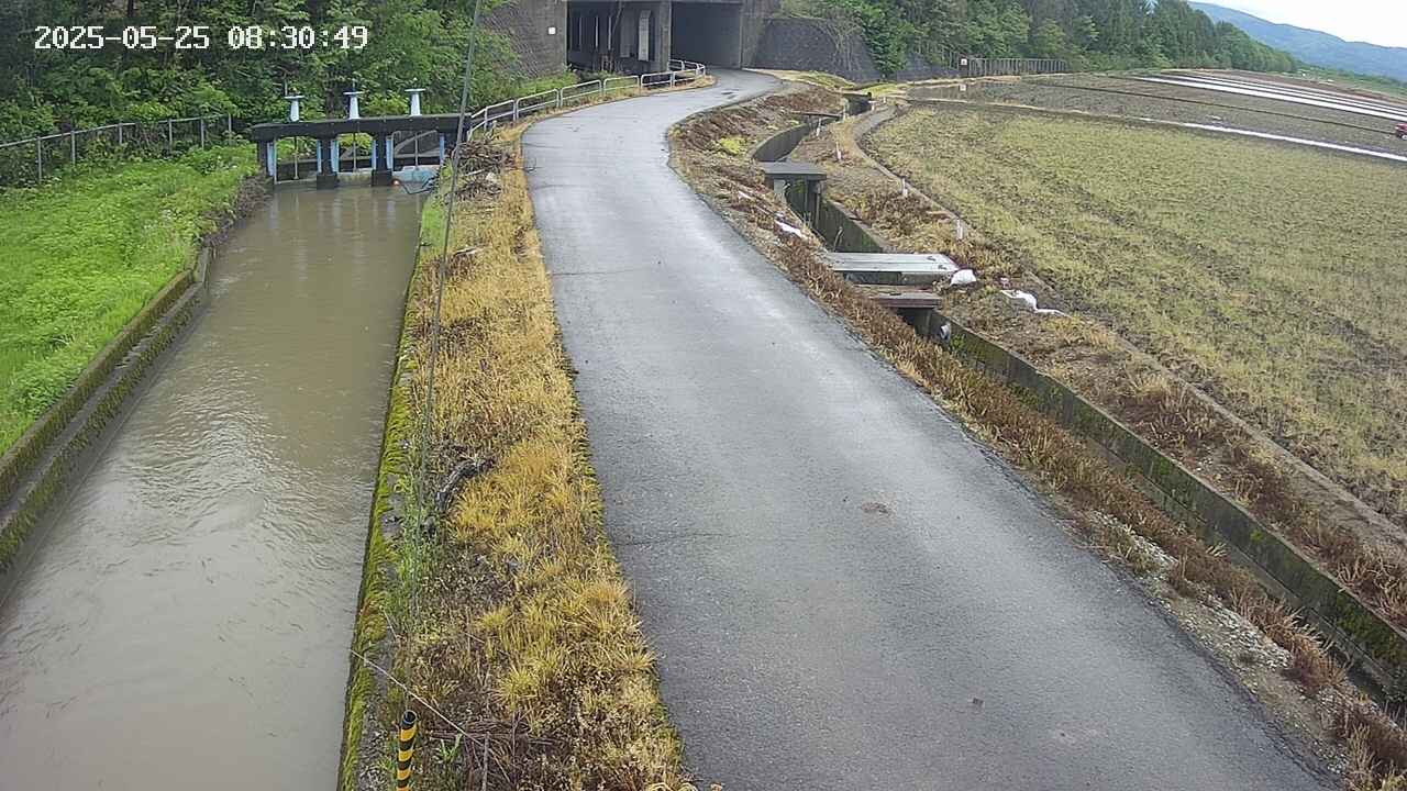 area11-20250525083050.jpg