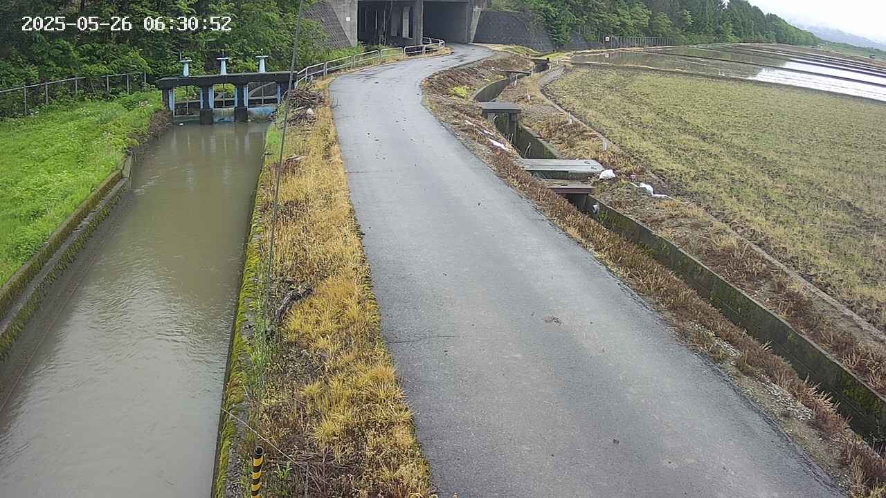 area11-20250526063053.jpg