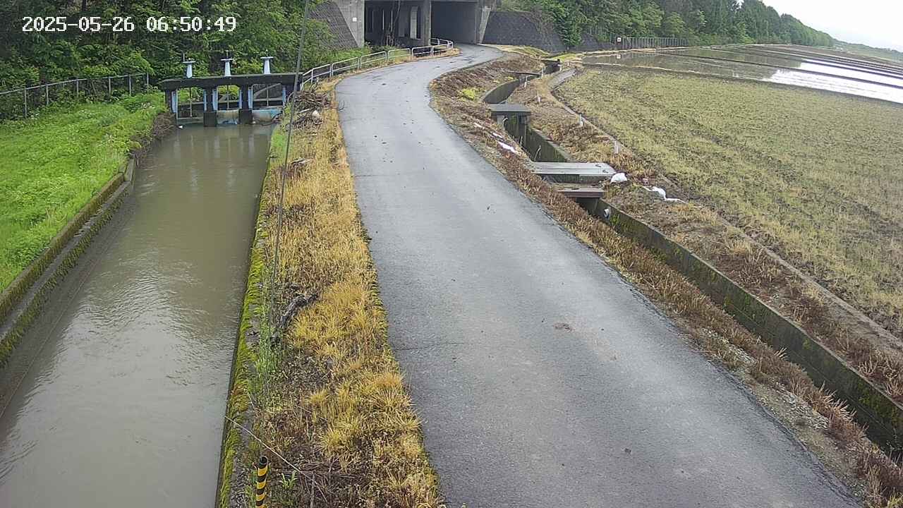 area11-20250526065051.jpg