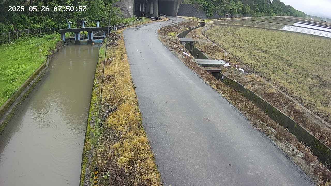 area11-20250526075053.jpg