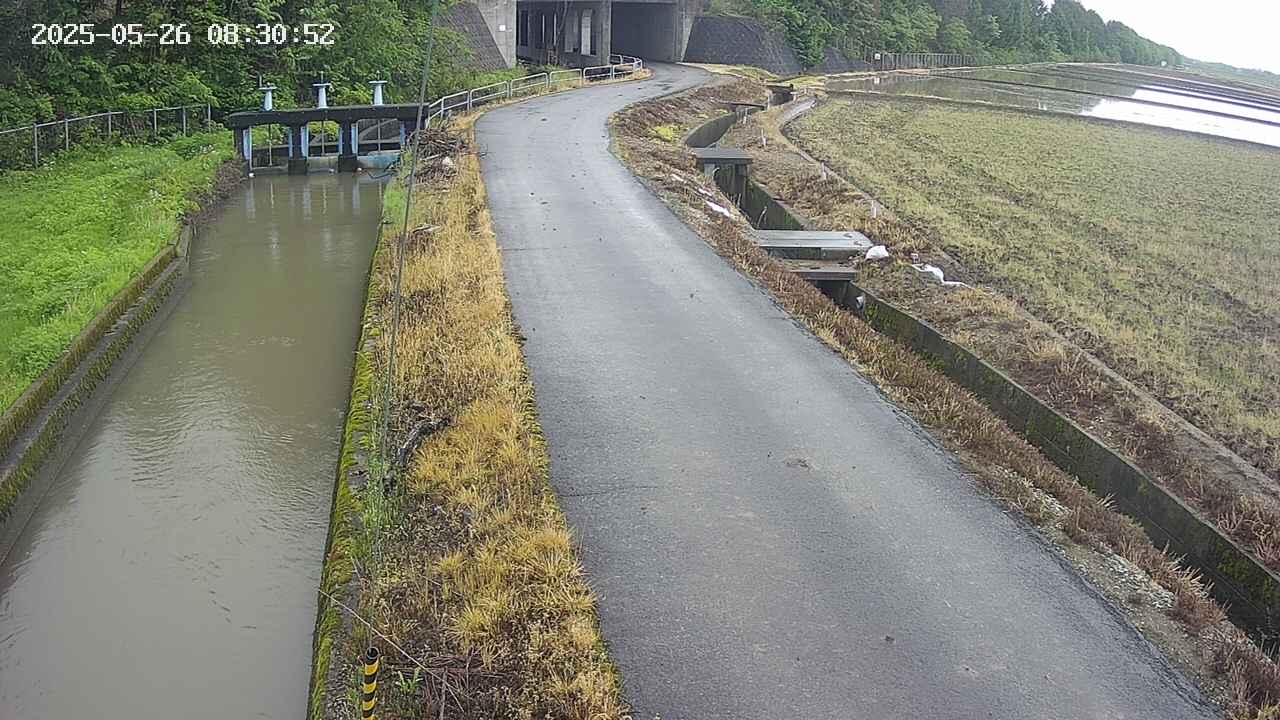 area11-20250526083052.jpg