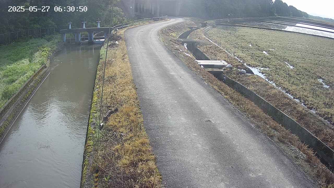 area11-20250527063051.jpg