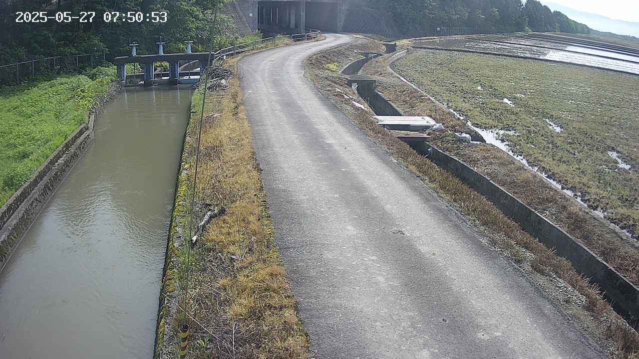 area11-20250527075054.jpg