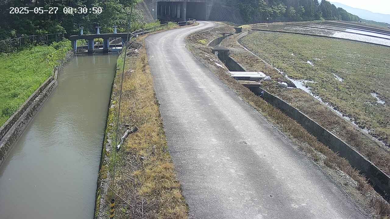 area11-20250527083051.jpg