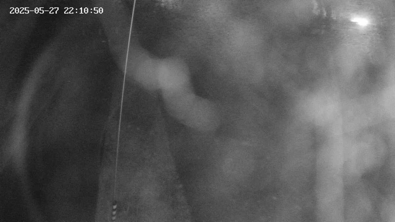 area11-20250527221051.jpg