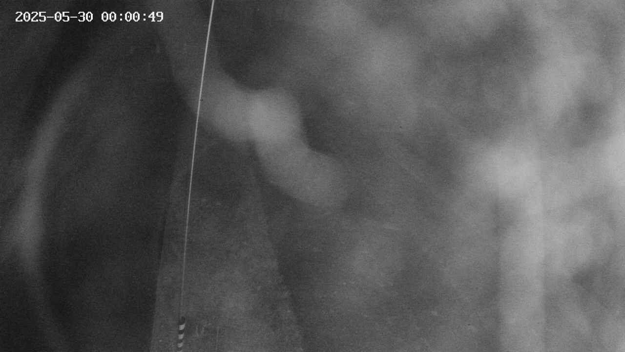 area11-20250530000051.jpg
