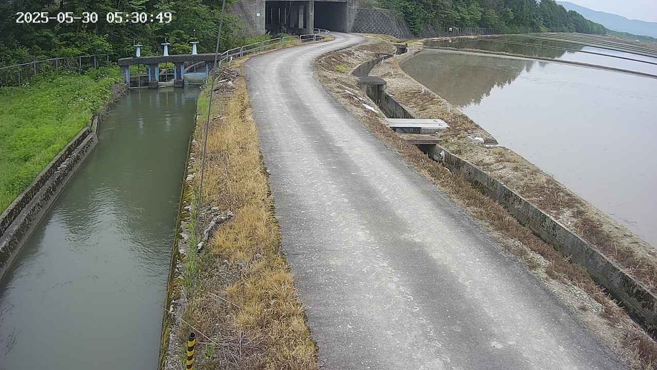 area11-20250530053051.jpg