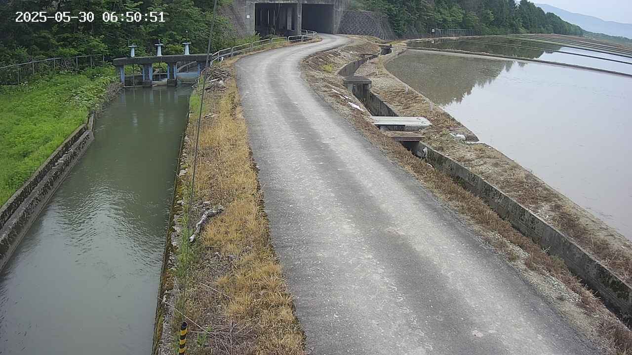 area11-20250530065052.jpg