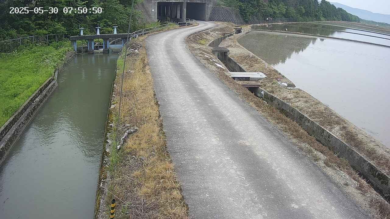 area11-20250530075051.jpg
