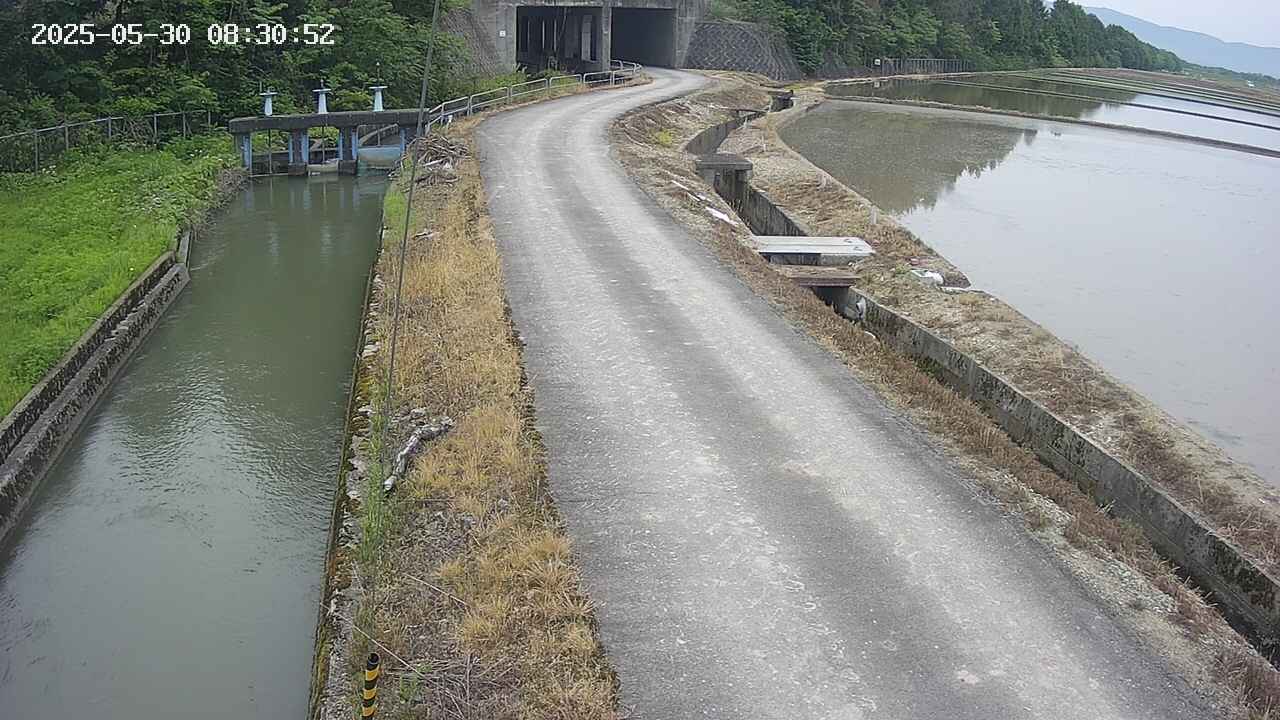 area11-20250530083053.jpg