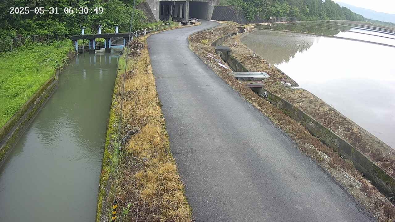 area11-20250531063051.jpg