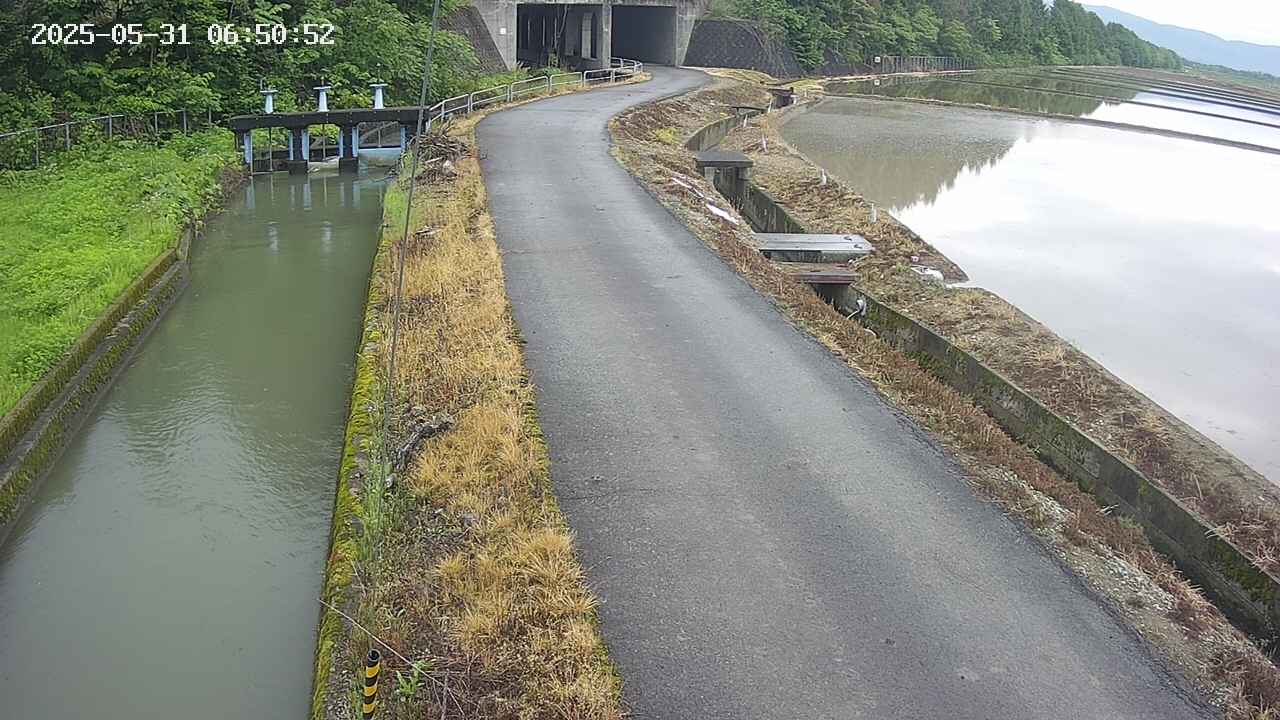 area11-20250531065054.jpg