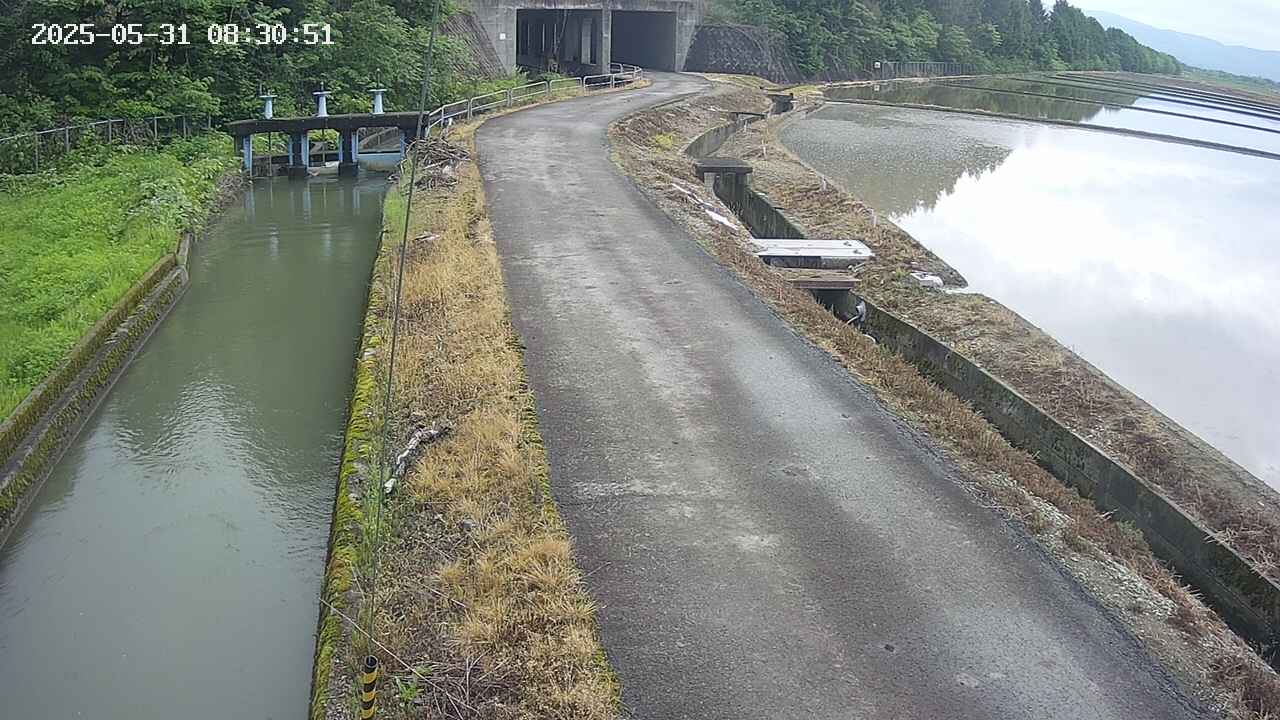 area11-20250531083052.jpg