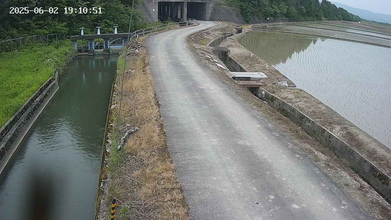 area11-20250602191052.jpg
