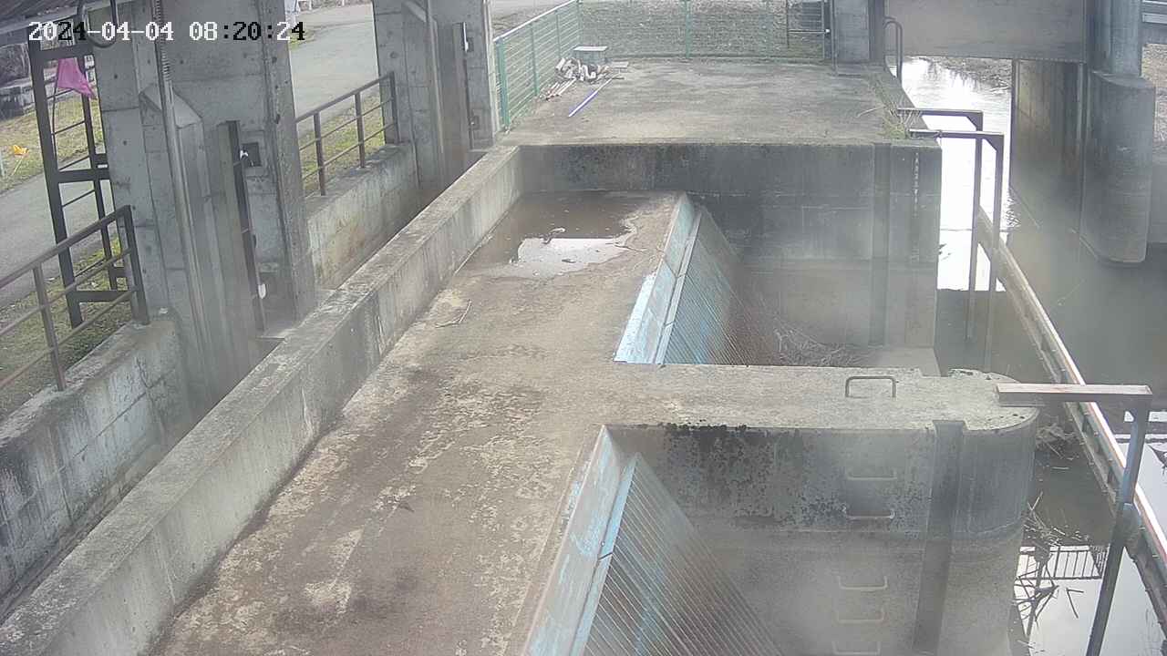 area2-20240404082025.jpg