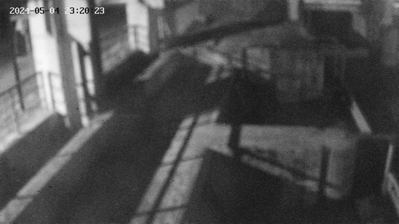 area2-20240504232024.jpg