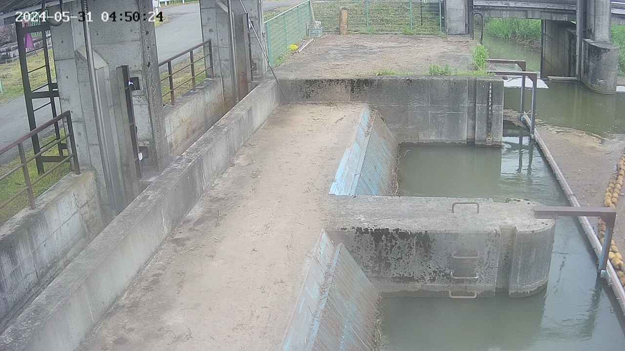 area2-20240531045024.jpg
