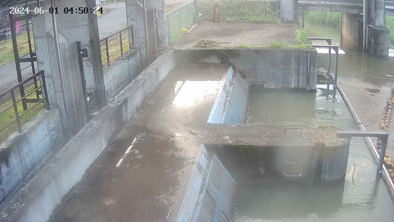 area2-20240601045025.jpg