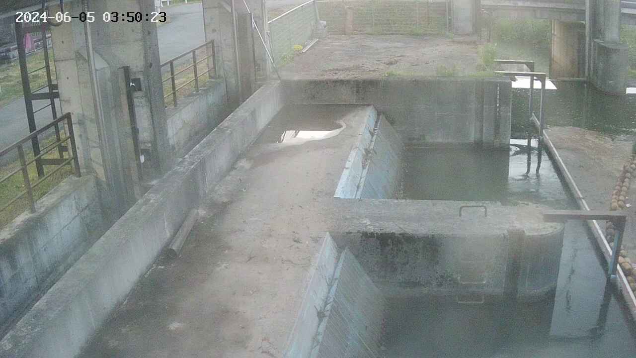 area2-20240605035024.jpg