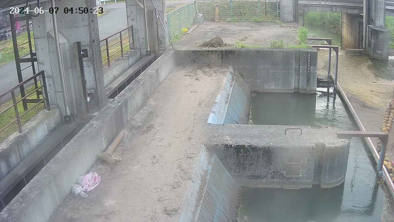 area2-20240607045024.jpg