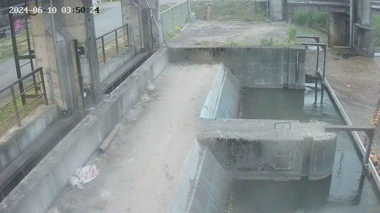 area2-20240610035024.jpg