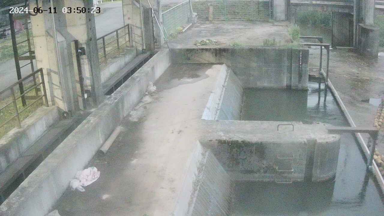 area2-20240611035024.jpg