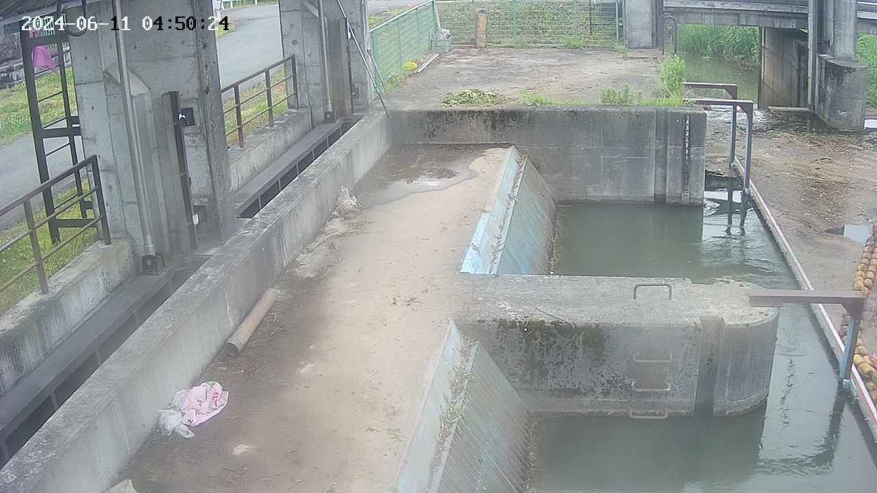 area2-20240611045024.jpg